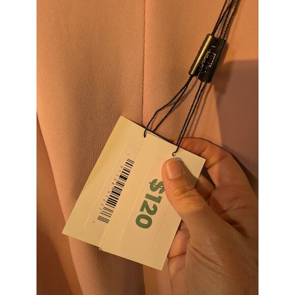 TERANI COUTURE womans pink rose size 2 floor length dress NWT BridalParty Formal - Picture 8 of 9